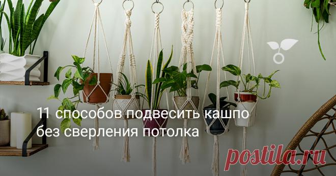 11 способов подвесить кашпо без сверления потолка Кашпо - отличный способ добавить растительности и стиля в ваш дом или офис. Но что делать, если у вас есть амбиции создать зеленые заросли в своей квартире, но есть барьер в виде отсутствия разрешения на сверление потолка? Не переживайте! В этой статье мы рассмотрим несколько креативных способов подвесить кашпо без необходимости сверления потолка.
