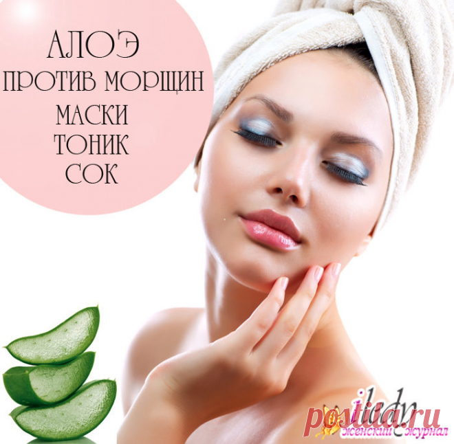 Алоэ от морщин - рецепты масок, использование сока для лица