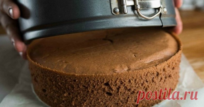 Опытные хозяйки выпекают бисквит по такой технологии: отделяем белки и желтки… Корж «послушный»: хорошо разрезается на нужное количество.