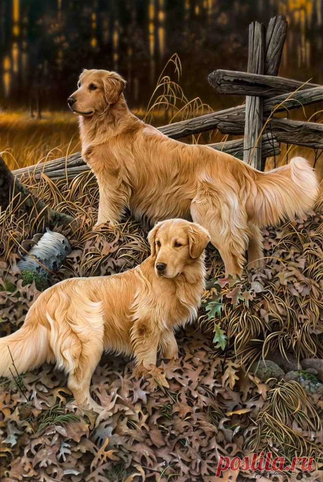 Сюжеты с собаками - Животные. Интернет магазин. Виртуальная багетная мастерская. Картинная галерея. Живопись маслом. Печать на холсте. Уникальные изображения. Изготовления рам на заказ. Подбор багета. Акварель, графика, натюрморты, пейзажи, зимняя природа, абстракционизм. Весь спектр услуг.