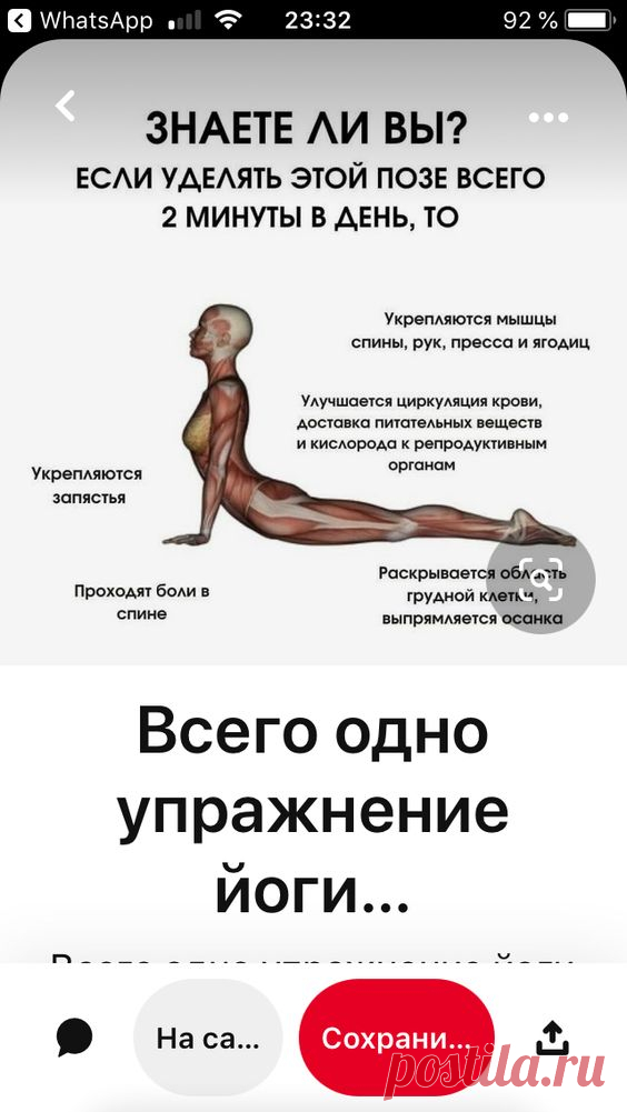 (659) Pinterest