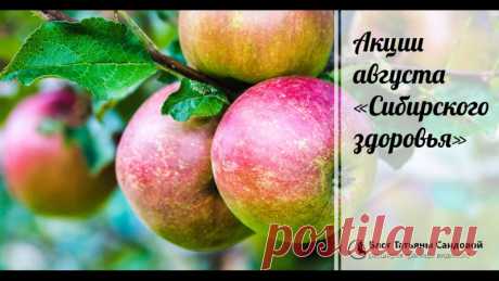 Наталья Сандалова