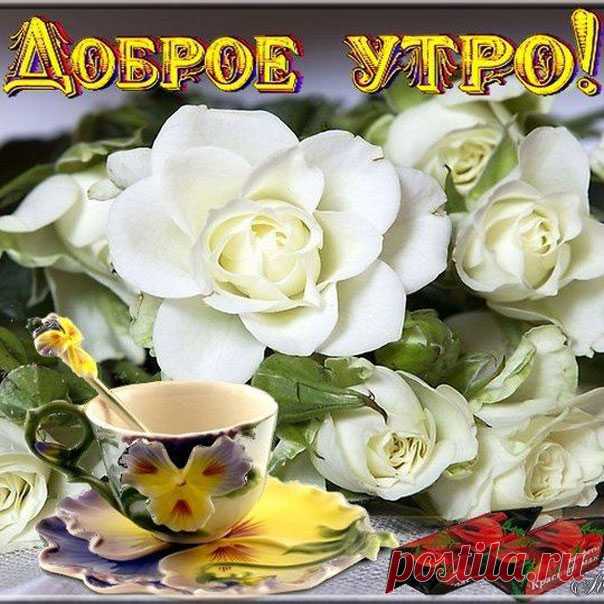 Искренние и теплые открытки просто так хорошего Утра позитива улыбок картинки