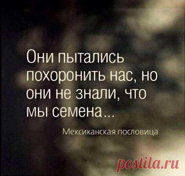 Коллекция афоризмов.!!! (понравилось)