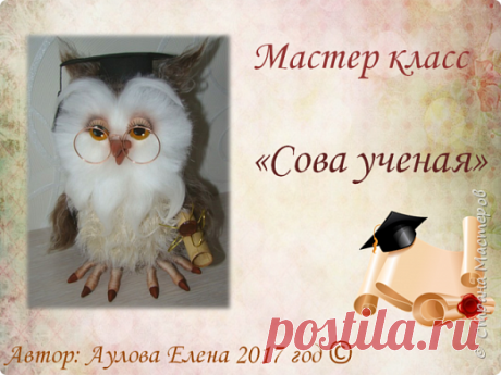 Совунья ученая | Страна Мастеров