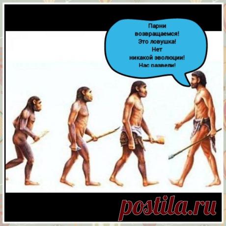 JW Коллекция правдивых ошеломляющих новостей о.