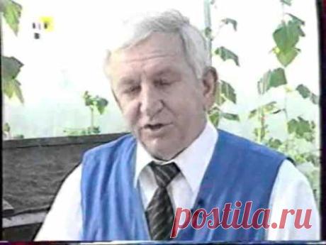 Особенности национальной закуски