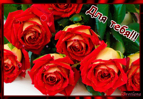 Мой Мир@Mail.Ru