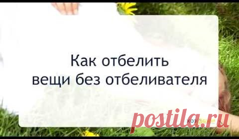 (3) Одноклассники