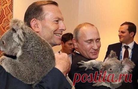 Саммит G20 / Взлом логики