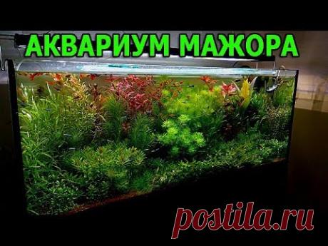 Аквариум травник - YouTube