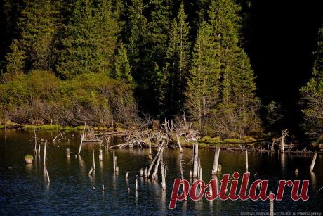 Григорьевское ущелье Иссык-Куля | ФОТО НОВОСТИ