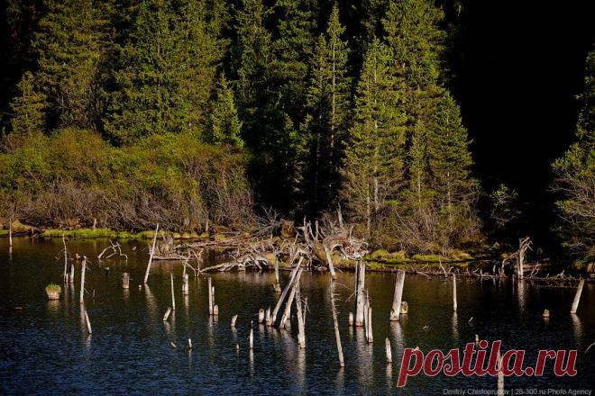 Григорьевское ущелье Иссык-Куля | ФОТО НОВОСТИ