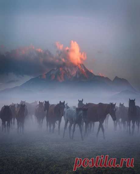 (+1) Фотограф Кума Чевик