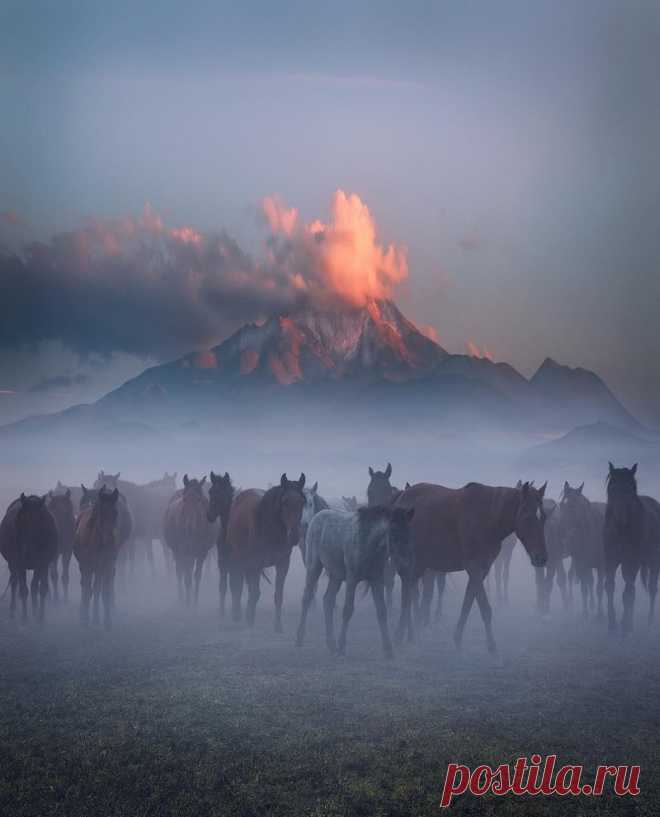 (+1) Фотограф Кума Чевик