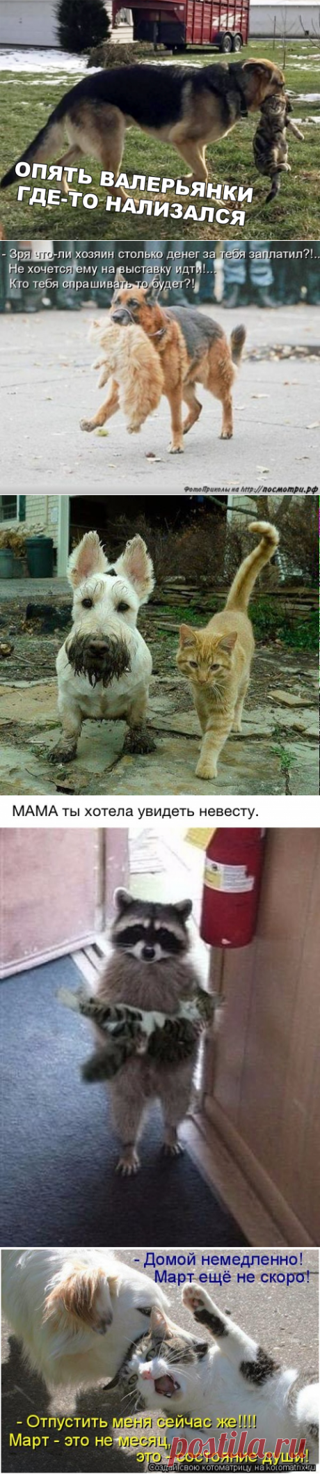 Забирайте... Я привел его домой!