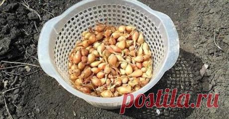 (5) Facebook
