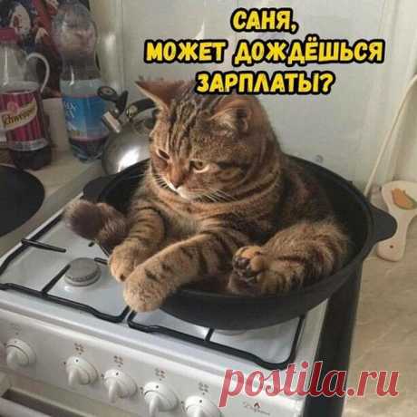 Фото приколы - 21 фото - Нет скуки - Сайт хорошего настроения
