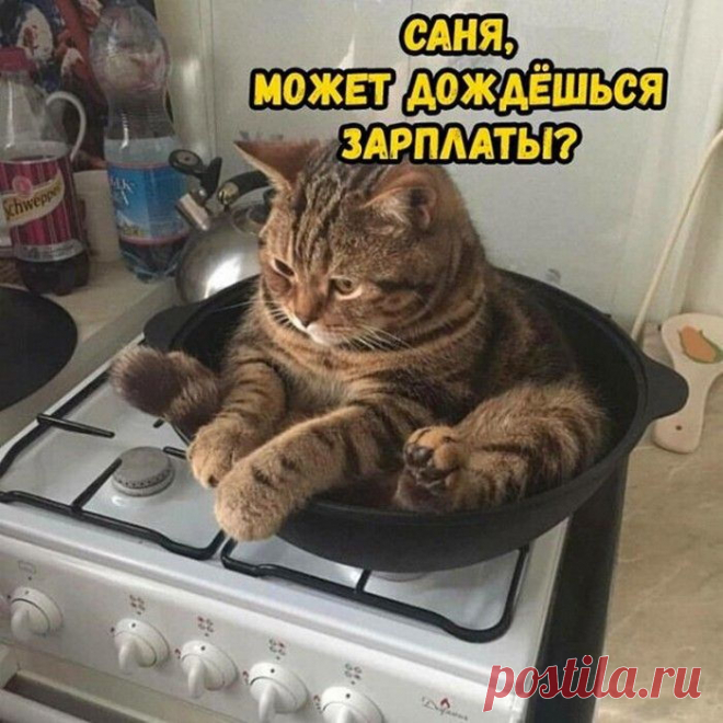 Фото приколы - 21 фото - Нет скуки - Сайт хорошего настроения