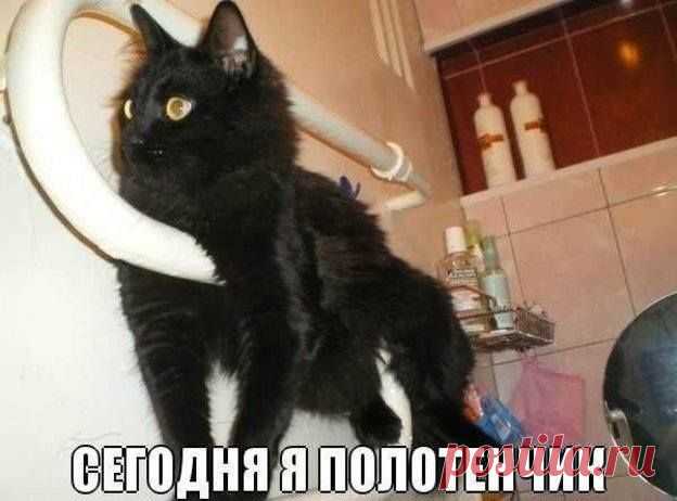 Улыбнись!
