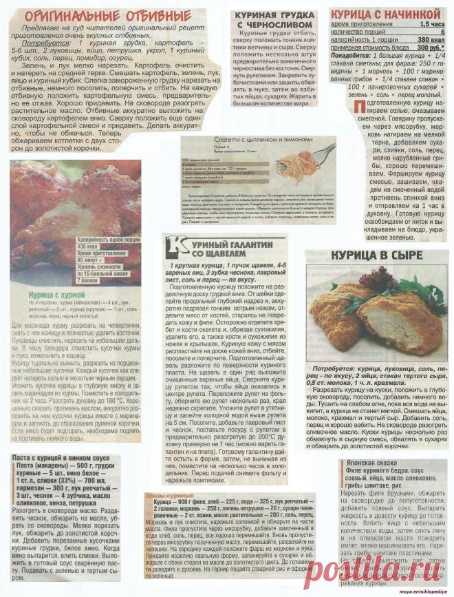 Курица с хурмой. Куриный галантин со щавелем. Курица с начинкой. Курица в сыре.