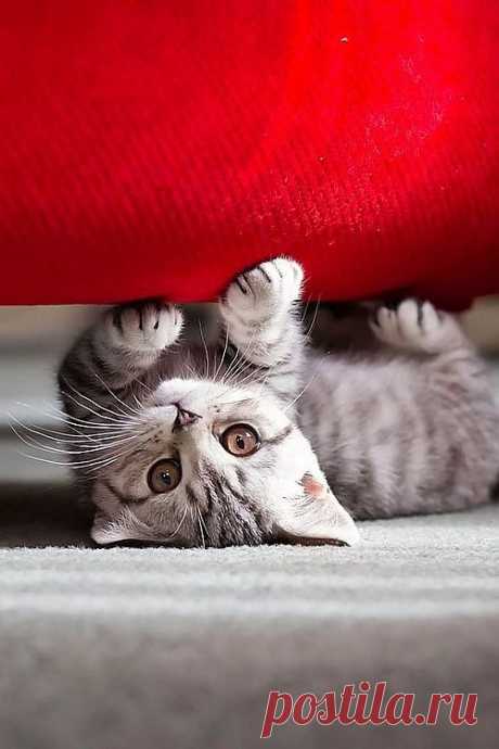 fun and games | New Pictures 4 You :)