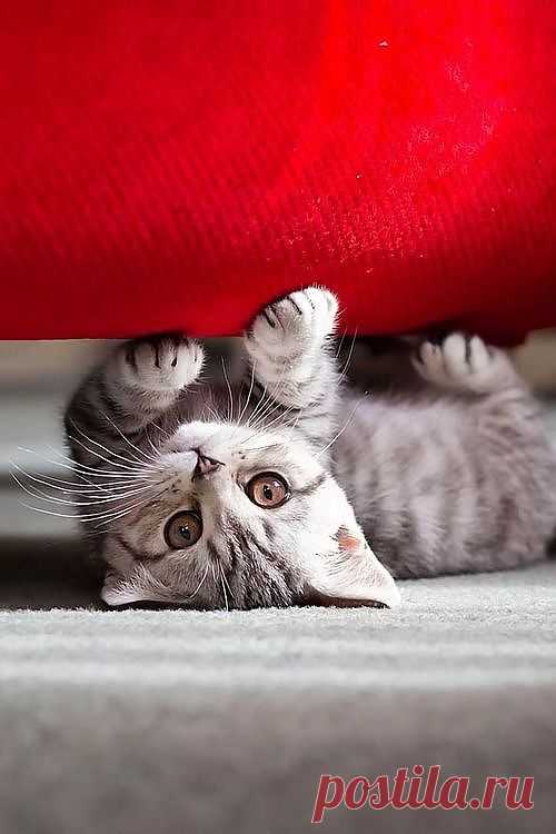fun and games | New Pictures 4 You :)