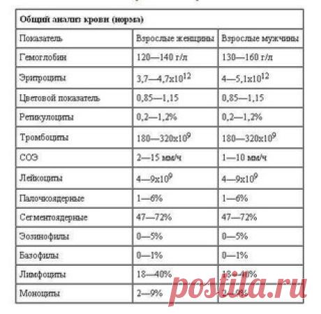 Учимся понимать свои анализы.