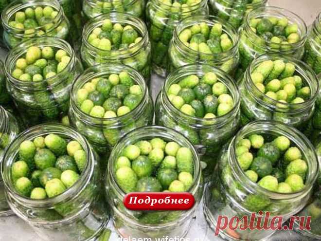 Маринованные огурцы «по-детски» делаю каждый сезон. Улетная просто закусочка! - delaem Маринованные огурцы «по-детски» Ингредиенты (из расчета на 3 литровых банки): Соль —...