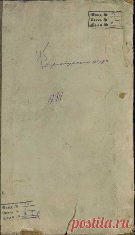 Вознесенская Церковь, Ново-Паньшинское с. метрическая книга за 1884 год