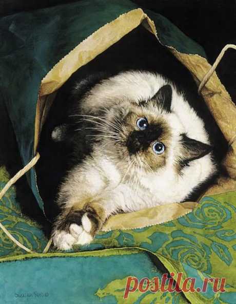Художница Sueellen Rosse