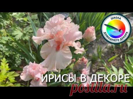 Ирисы в декоре: 3 варианта