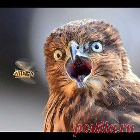 Юрий