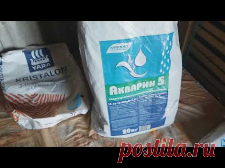 пару секретов в кормлении клубники