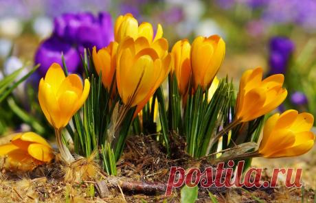 Мой Мир@Mail.Ru