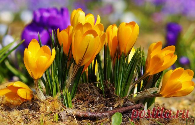 Мой Мир@Mail.Ru