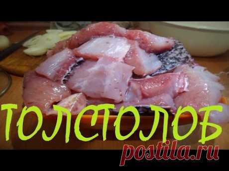 Толстолобик маринованный . Рецепт маринования толстолобика. - YouTube