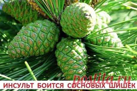 (14) Одноклассники