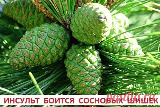 (14) Одноклассники