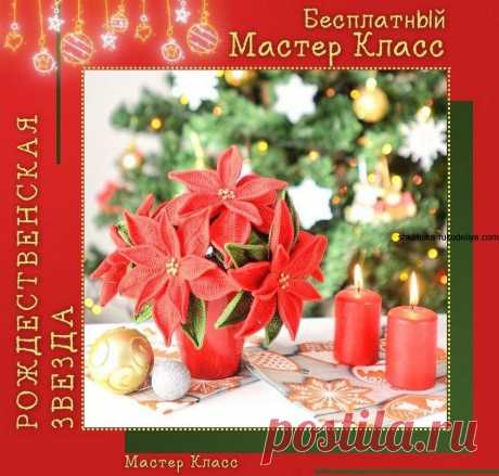 Рождественская звезда. Бесплатный Мастер класс. Цветок Пуансеттия крючком