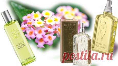 Они не пройдут: 5 запрещенных парфюмерных ингредиентов - Красота - Леди Mail.Ru