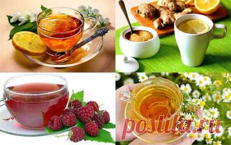 Легко лечим детскую простуду натуральными и одновременно безопасными напитками! Натурально и вкусно! 1. Кoмпот с суxoфpyктaми и медом — это отличноe cредcтво для устpанeния наcморкa, давайтe eгo пить теплым и как можнo чаще. Не