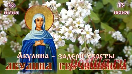 Желаю, чтобы святая Акилина хранила вашу семью, приносила здоровье, удачу и отличный урожай! Открытки на Акулина Гречишница!