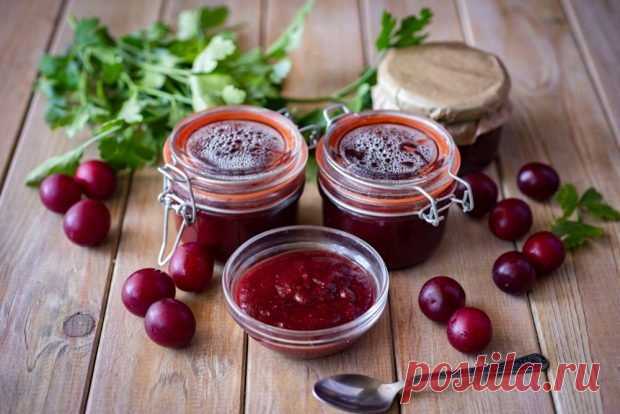 Аджика из красной алычи на зиму — Journal women