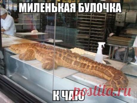 Свежая порция прикольных фотомемов (21 шт)