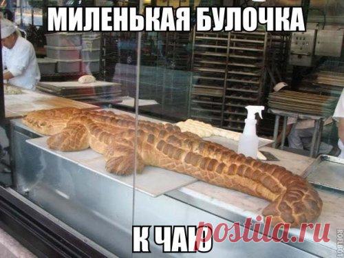 Свежая порция прикольных фотомемов (21 шт)