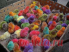 ❀ Пасхальные яйца с пухом. Знаменитый крем против морщин. Разные розы. Бутерброды как искусство // Кусочек Постилы к чаю! - borovik.1957@mail.ru - Почта Mail.Ru