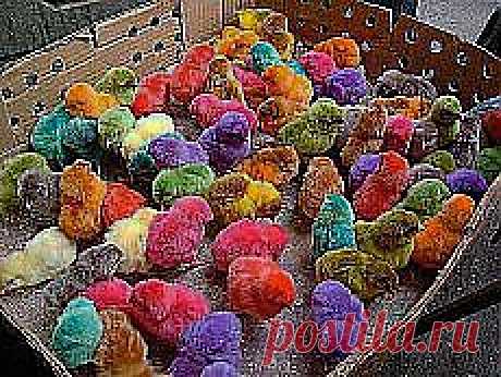 ❀ Пасхальные яйца с пухом. Знаменитый крем против морщин. Разные розы. Бутерброды как искусство // Кусочек Постилы к чаю! - borovik.1957@mail.ru - Почта Mail.Ru