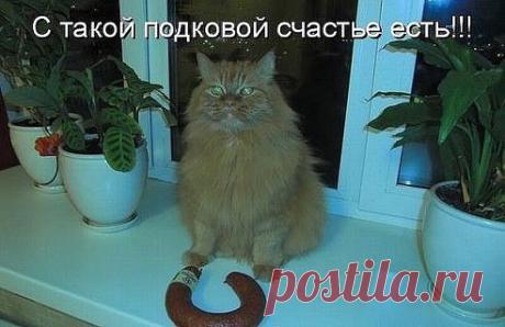 Эрудит