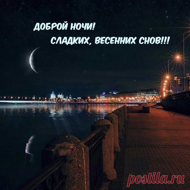 Добрых снов, спокойной ночи,
Пусть приснится, что захочешь.
Будут сладкими лишь сны,
Прям такими, как и ты!